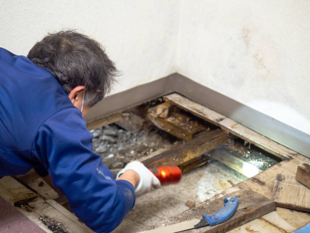 Water Damage Restoration in South Burlington, VT