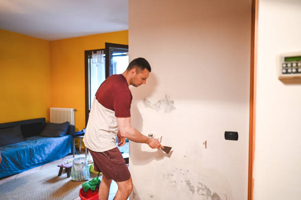 Best Mold Removal Near Me  in South Burlington, VT